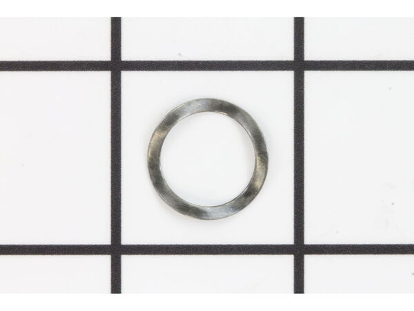 10096307-1-M-Ridgid-35520-Spring Washer