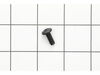 10096418-1-S-Ridgid-38750-Cover Plate Screw