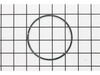 Gauge Plate Spring Ring – Part Number: 39980