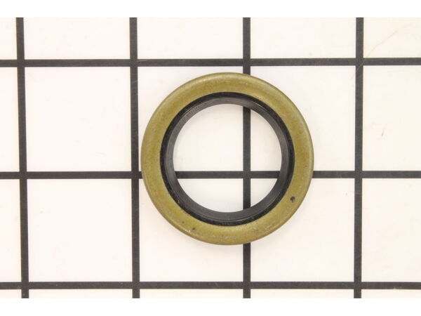 10097352-1-M-Ridgid-45085-Seal