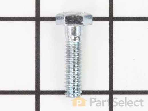 10097664-1-M-Ridgid-49252-Hex Screw, 1/4 - 20 X 1 (2)
