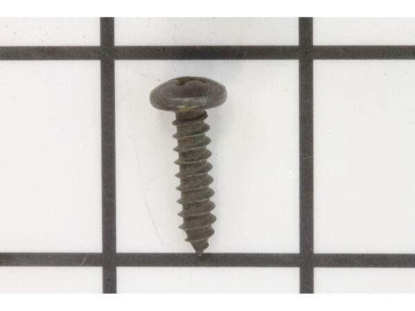 10098991-1-M-Ridgid-60391-Screw, Pan Rec. Ty Ab 10 X 3/4