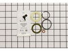10099297-2-S-Ridgid-62557-Repair Kit F/cylinder