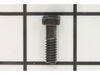 10100066-2-S-Ridgid-660865002-Screw (1/4-20)