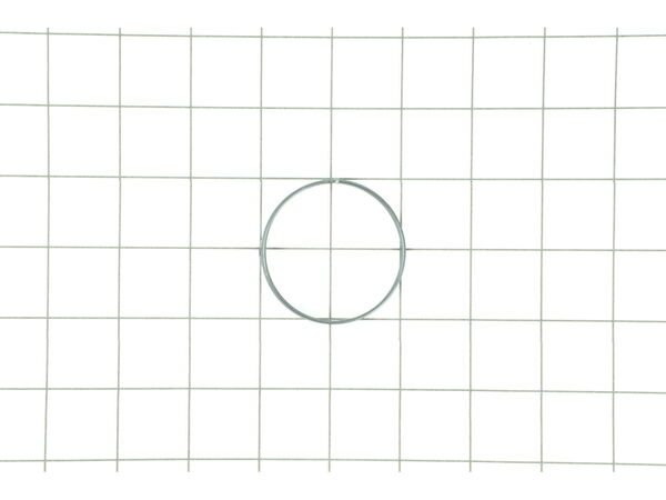 10100488-1-M-Ridgid-680672008-Torsion Spring