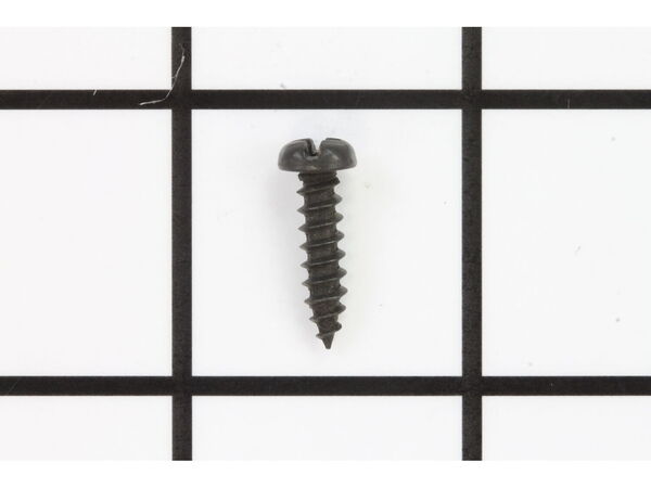 10101820-1-M-Ridgid-816069-Screw Pan Hd. Ty Ab #6 X 5/8