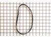Belt, Poly, V – Part Number: 830034