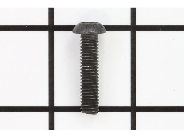 10105164-1-M-Ridgid-A08007060250-Screw (M6 X 25L)