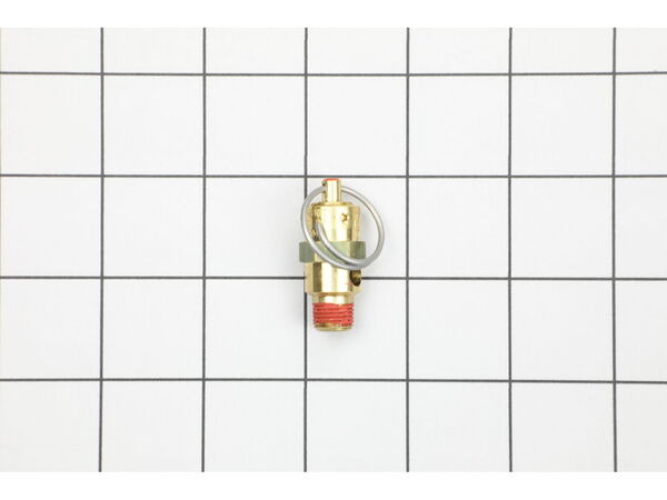 10105862-1-M-Porter Cable-1000000372-Safety Valve