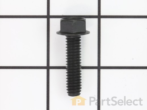 10115802-1-M-Porter Cable-D22217-Screw .313-18X1.25 T