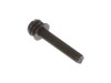 10117725-3-S-Milwaukee-05-81-0775-Pan Head Screw M5x30