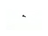 10119071-2-S-Milwaukee-06-82-8864-Pan Head Screw