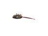 10120878-2-S-Milwaukee-14-46-2012-Carbon Brush Kit