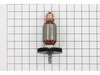 Armature 120 Volt – Part Number: 16-50-1095