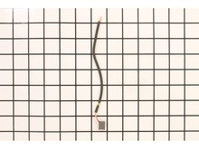 Carbon Brush Assembly – Part Number: 23-66-2620