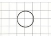 O-Ring – Part Number: 34-40-5321