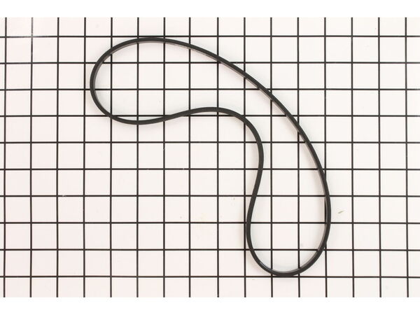 10134481-1-M-Mi-T-M-11-0043-Belt