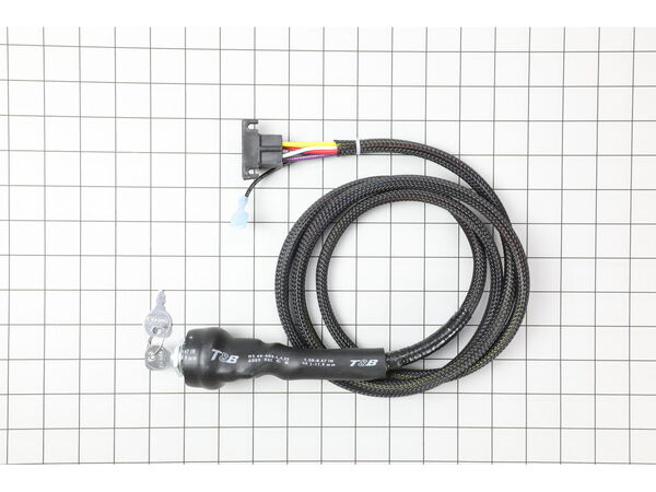 10137429-1-M-Mi-T-M-850-0302-Key Switch Assy