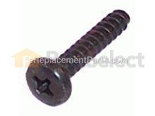 Tapping Screw BT4X20 – Part Number: 265925-7