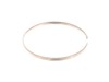 Inner Ring 36 – Part Number: 341862-0