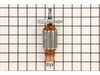 Armature Assembly 115v – Part Number: 516091-6