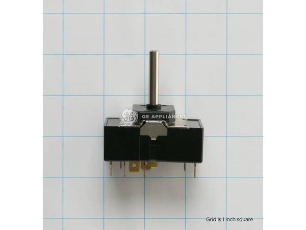 1015725-1-M-GE-WB24T10113        -SWITCH LOCKOUT