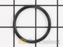 O-Ring – Part Number: 156593