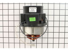 Motor, 120V – Part Number: 16F290