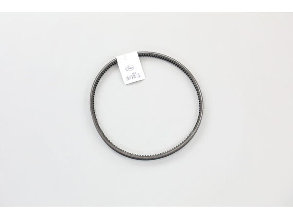 10160505-1-M-Graco-193547-Belt