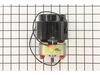 Motor, 120V – Part Number: 257570