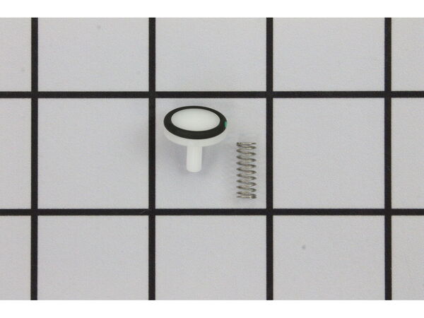 10161796-1-M-Graco-262602-Inlet Valve Repair Kit