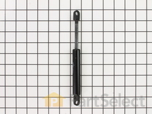 Gas compression spring – Part Number: 39000000484