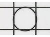 Packing Ring – Part Number: 40612093004