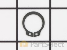 Locking Ring – Part Number: 42616007001