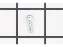Screw – Part Number: 43070006008