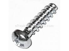 Screw – Part Number: 43070038007