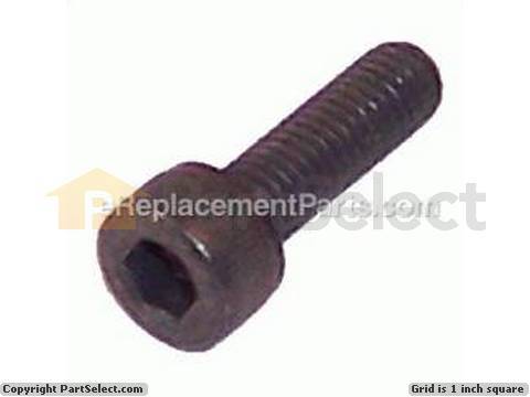 10165314-1-M-DeWALT-098120-16-Screw