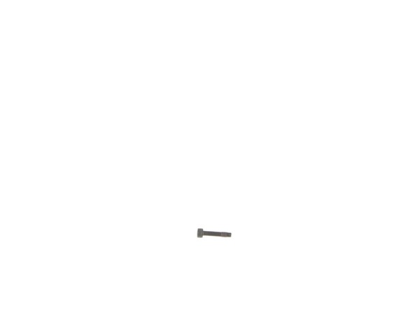 10165315-1-M-DeWALT-098121-31-Screw
