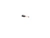 10165708-2-S-DeWALT-131602-00-Carbon Brush
