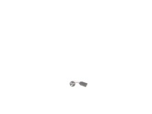 Brush And Spring – Part Number: 145323-01