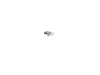 10166057-2-S-DeWALT-145323-06-Brush and Spring