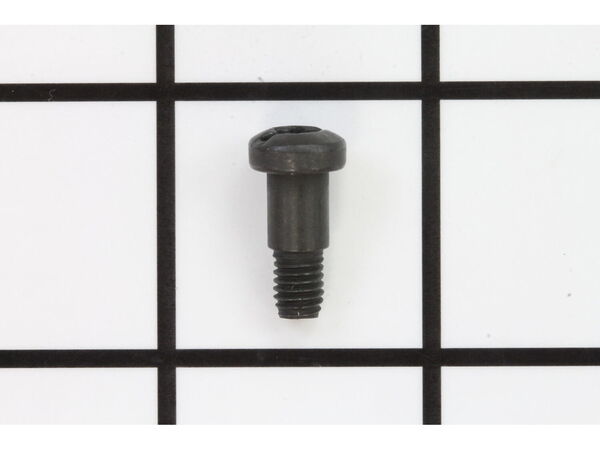 10166769-1-M-DeWALT-153408-00-Screw