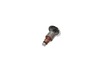 10166825-2-S-DeWALT-153527-00SV-Armature and Bearings