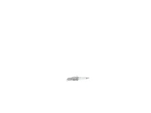 Spark Plug – Part Number: 285800-98