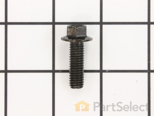 10168501-1-M-DeWALT-285816-55-Bolt