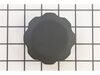 Fuel Cap – Part Number: 285820-72