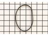 Belt – Part Number: 325018-00