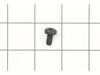 Screw – Part Number: 330045-55
