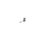 10169976-2-S-DeWALT-36495-98-Power Cord - 15', 16 Gauge, 3-Wire