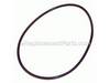 O-Ring – Part Number: 381067-00